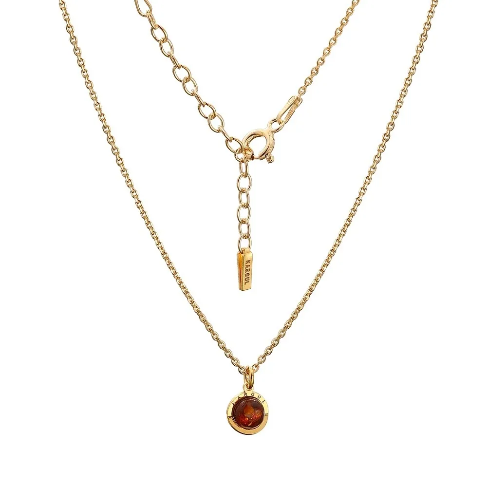 Delikatny naszyjnik srebrny pozłacany z koniakowym bursztynem z kolekcji pixel