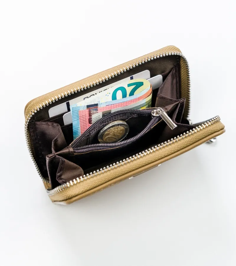 Portfel c. beżowy David Jones P117-910-6049 BREEN