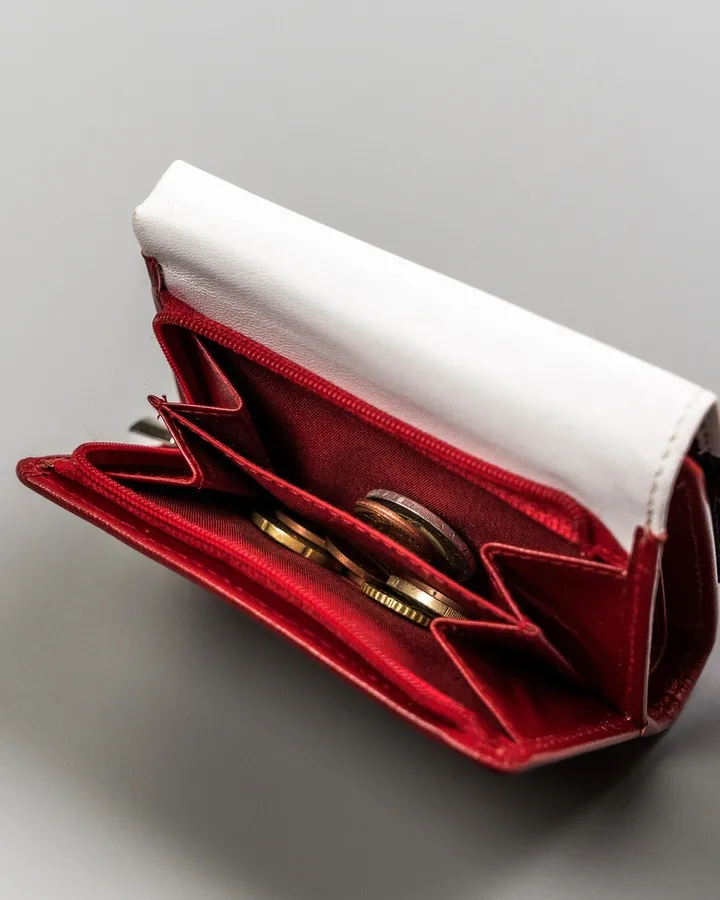 Portfel skórzany Peterson [DH] PTN RD-17-GCL-Y czerwony