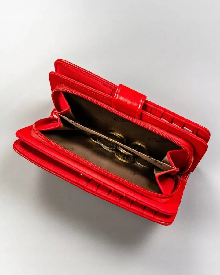 Portfel damski 4U Cavaldi N113-APU-BL czerwony