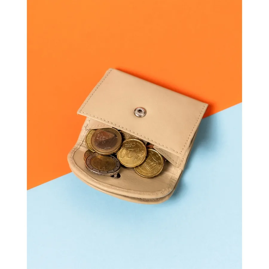 Portfel damski Rovicky R-17-LFN beżowy