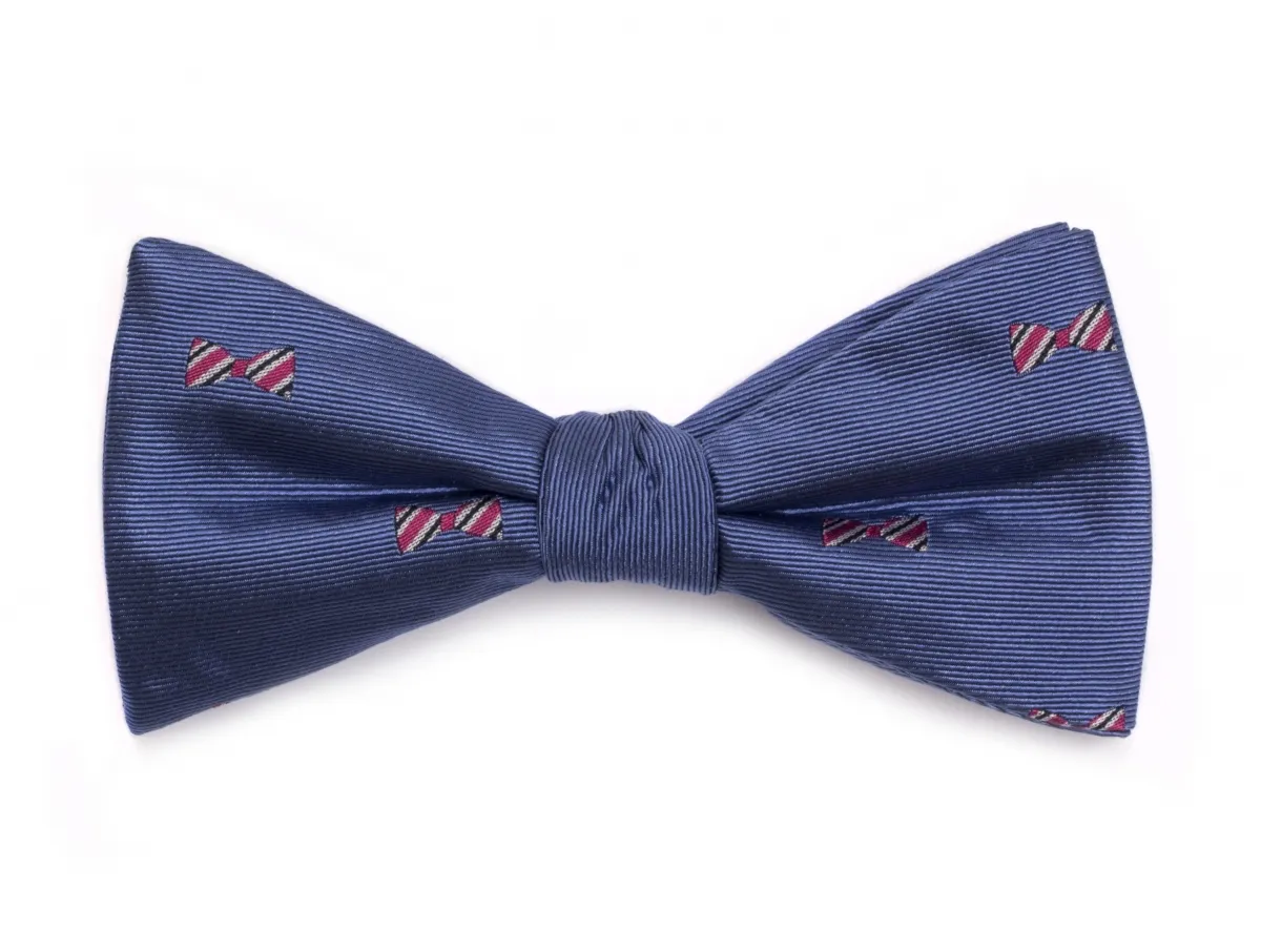 Jedwabna niebieska mucha wiązana w czerwone muszki