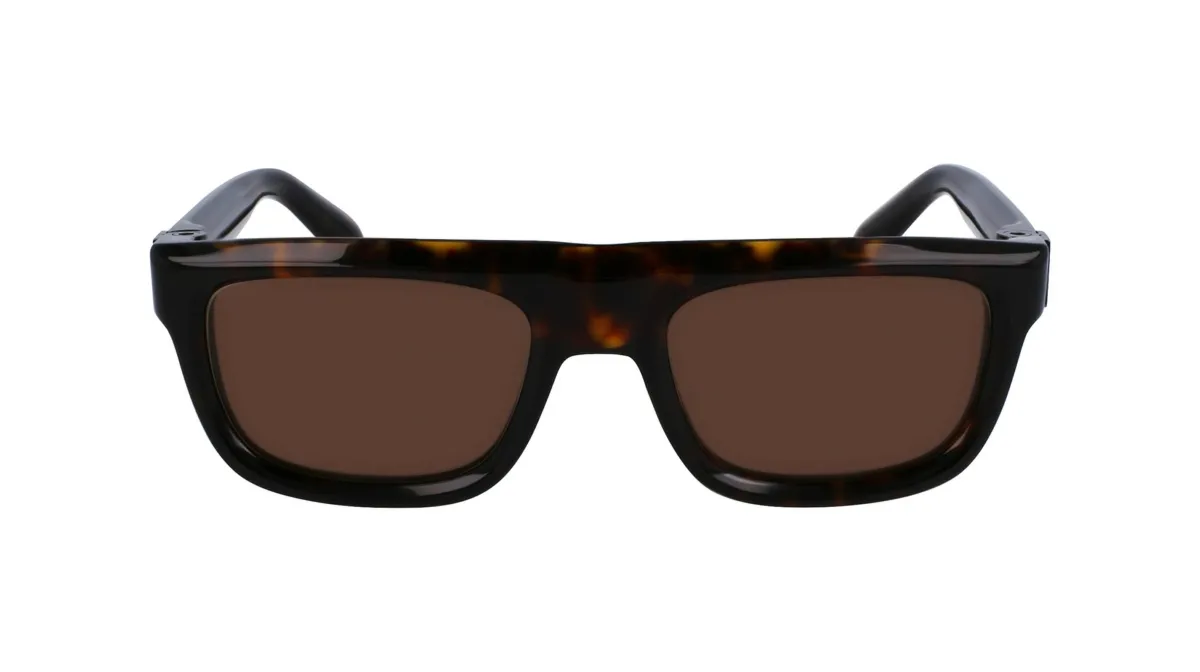 Okulary FERRAGAMO SF2009S-242. Okulary przeciwsłoneczne, Kolor brązowy. Mężczyzna.