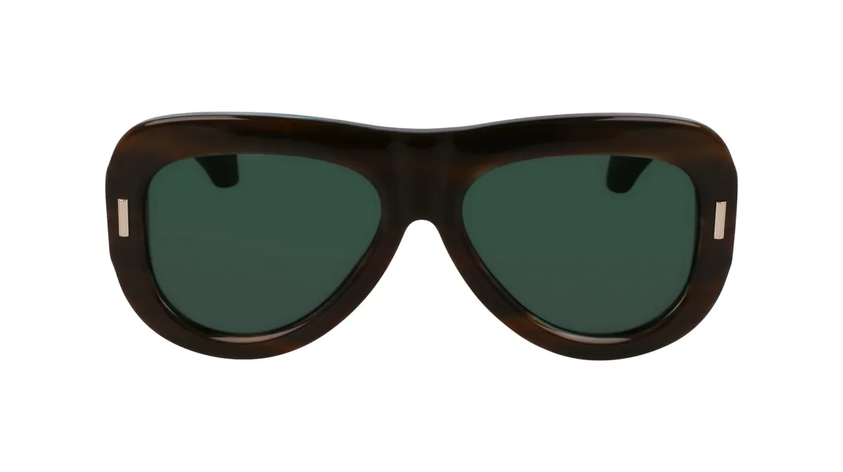 Okulary FERRAGAMO SF2029SE-221. Okulary przeciwsłoneczne, Kolor zielony. Kobieta.